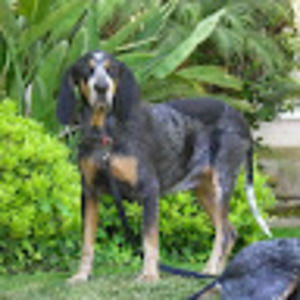 Meet your Posher, Larry